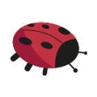 Red Ladybug