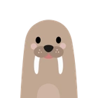 Walrus