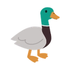 Mallard