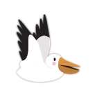 Pelican