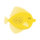 Yellow Tang