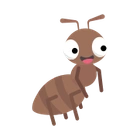 Ant