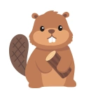 Beaver