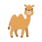 Camel