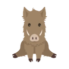 Boar 2