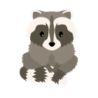 Racoon 2