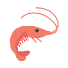 Shrimp