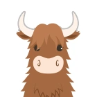 Highland Cow
