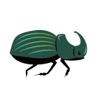 Rhino Beetle