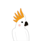 Cockatoo