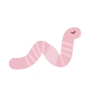 Worm