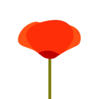 Poppy