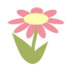 Pink Flower