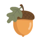 Acorn