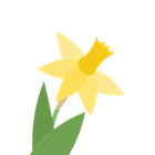 Daffodil