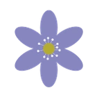 Hepatica