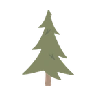 Fir tree