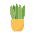 Potted Plant