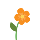 Orange Flower