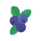 Blueberry