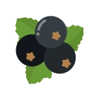 Blackcurrant