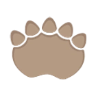 Dino paw 4